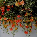 해강냉장 이미지