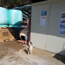 황우목장 이미지