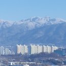 (주)나우렌트카 이미지