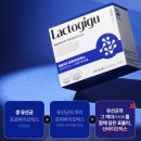 지구식품 | 비뇨유산균 추천! 락토지구 프로바이오틱스 후기 | 유산균추천 락토지구