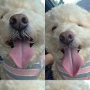까까살롱