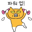 헤어뜰에