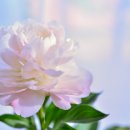 황강생태공원1 이미지