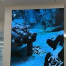 다산청아람어린이병원 이미지