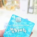 샐리솝