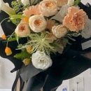 아인플로라 이미지