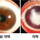 글라스온 동광주점 이미지