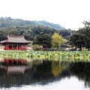 유등연지 이미지