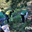 정안면사무소4 이미지