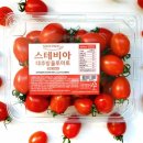 토마토 - 은평구 불광천길 322 | 토마토