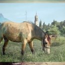 올라호텔 이미지