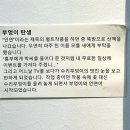 아울하우스