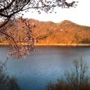 대청호카페 금린 이미지