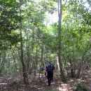 자연으로Ⅱ 이미지