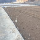 만천하공인중개사사무소 이미지