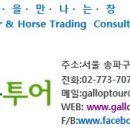 갤롭투어주