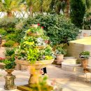 특수임무유공자 충용 | 서울 혼자 가볼만한곳 서울식물원, 2026 할인·주차·소요시간 총정리