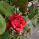 일본어교실 이미지