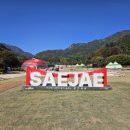 채가미장 이미지