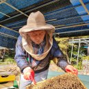 제일양봉산업 이미지