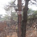 군내우체국 버스정류장(41293) | 철곶돈대를 바라보며 시작한 강화지맥 1구간