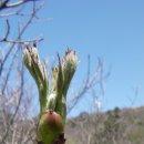 삼거리축사 이미지