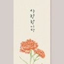 빛깔캘리그라피 이미지