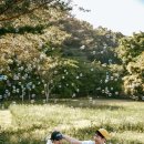 루나비