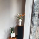 CARDI espresso bar 이미지