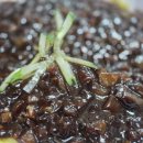 운남반점 이미지