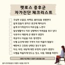 반려동물 떠나보낸 슬픔, 억지로 잊으려 하지 마세요 이미지