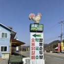 [강원도 홍천/&#34;솔잎가든&#34;]닭갈비, 막국수, 볶음밥까지 한번에 먹을 수 있는 비발디파크 근처 홍천 맛집