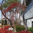 선경모터스 이미지