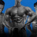 코코휘트니스 이미지