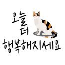아인스동물병원 이미지