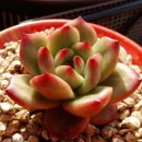 티엠(TM) 이미지