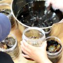 느리실마을 이미지