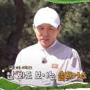 라베야 이미지