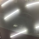 신호카포스 이미지