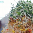 산에들에민박 이미지