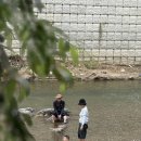 장흥계곡펜션 | 왓츠인마이블로그 1) 장흥계곡 예담음식점&amp;펜션 당일치기 여행🩵