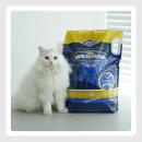 냥이의꿈 | 아메리칸솔루션 그랜드마스터 프리미엄 고양이모래, 우리 냥이의 화장실이 드디어 '궁전'이 되었어요