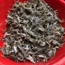 보리수미용실 이미지