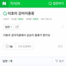 이효리 강아지중에서 상순이 종류가 뭔가요? 이미지