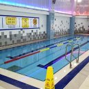 선부다목적체육관 이미지