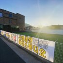 플레이독 애견유치원 이미지