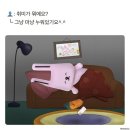 제이엔 이미지