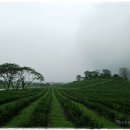 카페루체 이미지