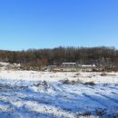 청대농장 이미지