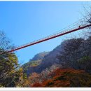 강천산군립공원 이미지